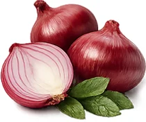 Joint Restore উপাদান — কোয়ারসেটিন (Quercetin)